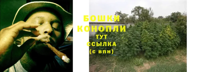 магазин продажи наркотиков  Кострома  Конопля THC 21% 